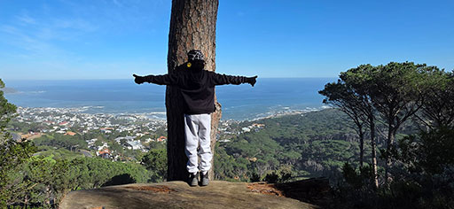 Hiking the Pipe Track overlooking Camps Bay beach